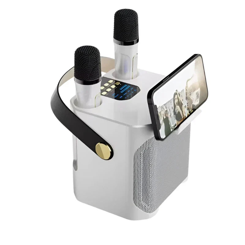 Altoparlante Bluetooth per karaoke ad alta potenza con due microfoni