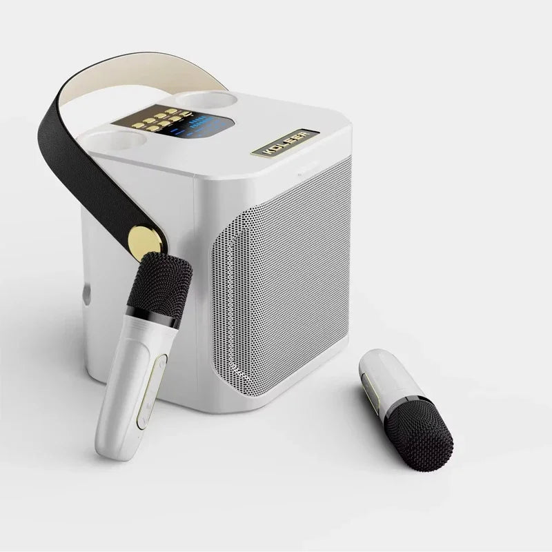 Altoparlante Bluetooth per karaoke ad alta potenza con due microfoni