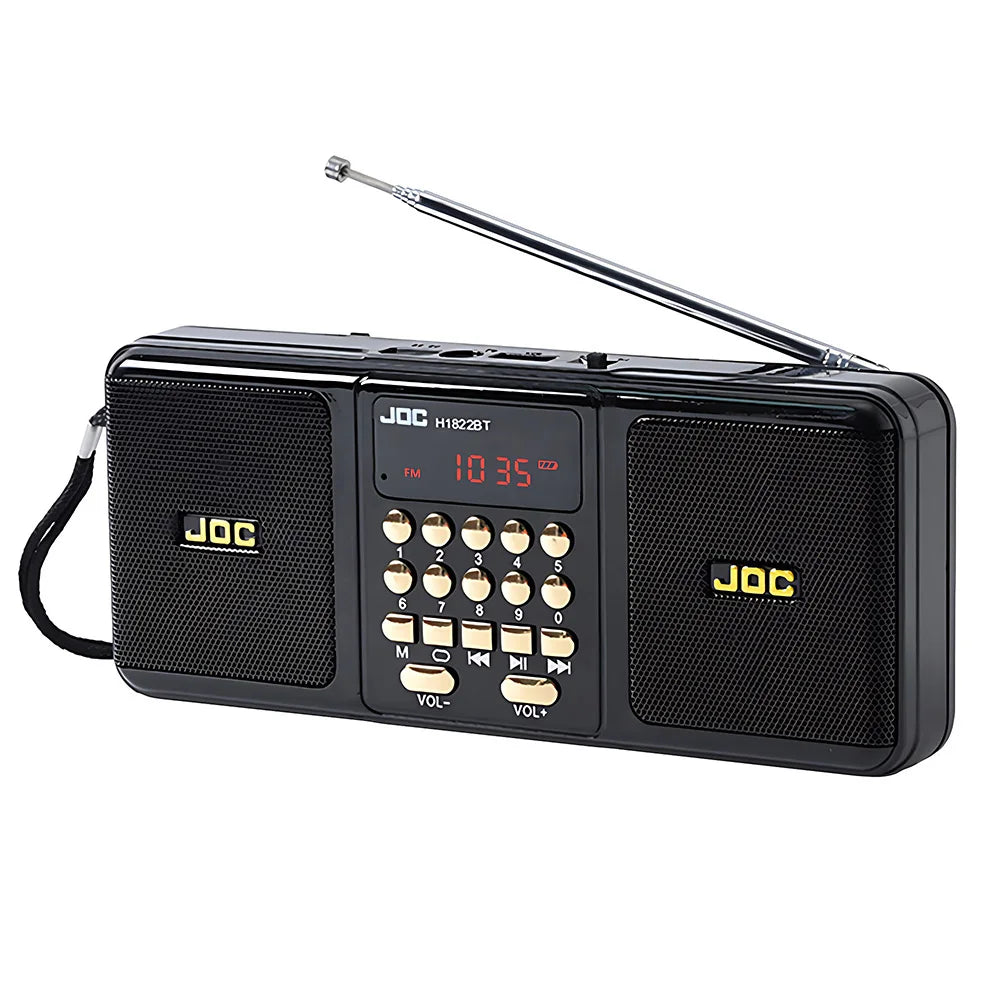 Altoparlante portatile con Bluetooth e radio FM, nero