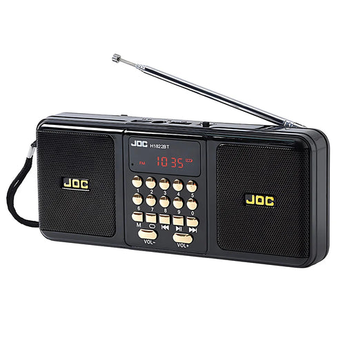 Black portable Bluetooth speaker with FM radio