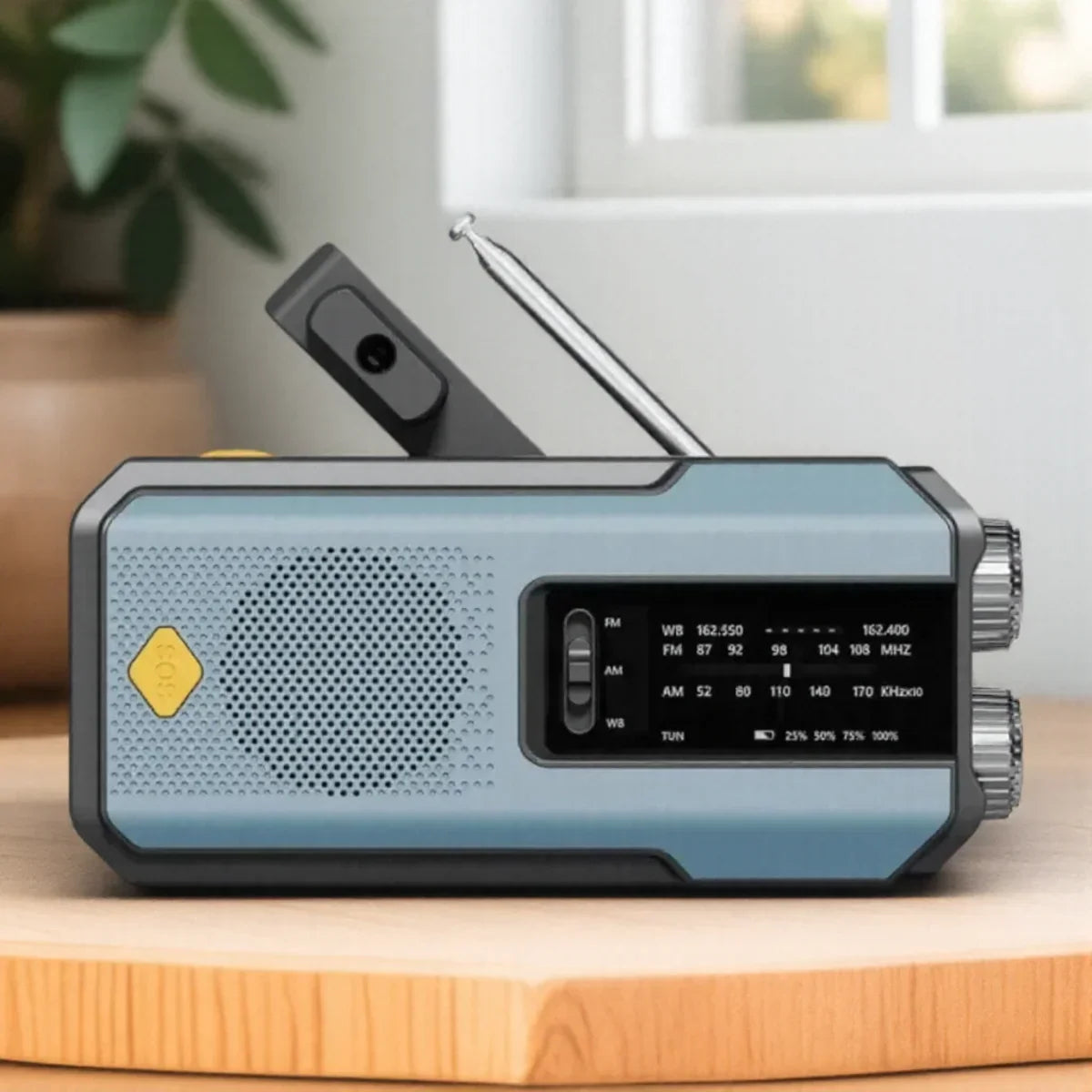 Blue solar emergency radio with LED torch