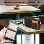 Radio digitale stereo portatile, nera