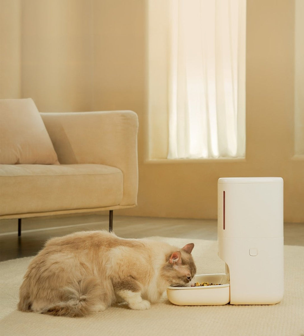 Mangiatoia automatica intelligente per animali domestici con telecamera per la privacy