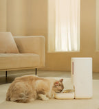 Mangiatoia automatica intelligente per animali domestici con telecamera per la privacy