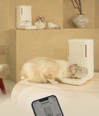 Mangiatoia automatica intelligente per animali domestici con telecamera per la privacy
