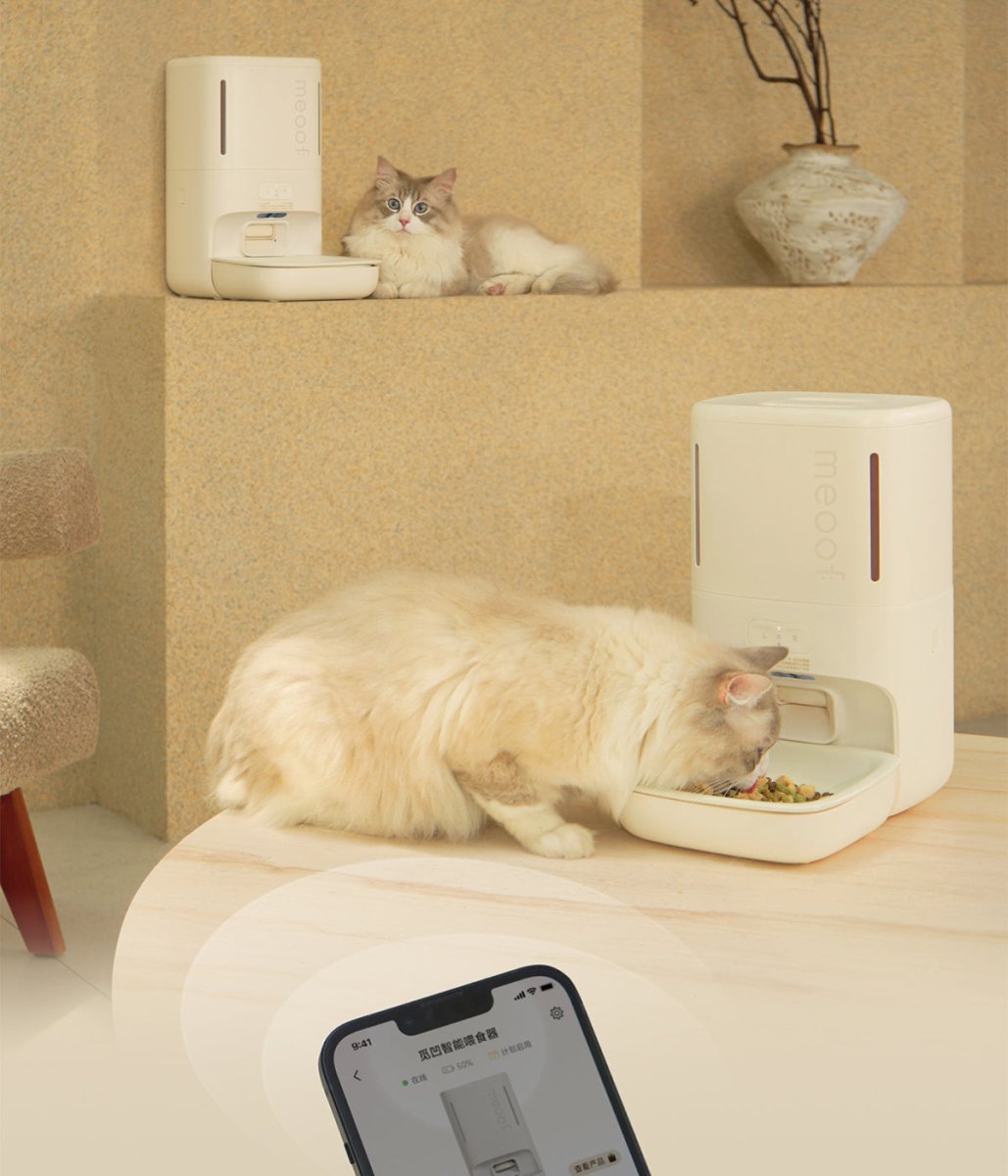 Mangiatoia automatica intelligente per animali domestici con telecamera per la privacy